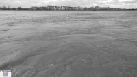 Rheinhochwasser Oberkassel