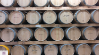 Fässer - Weingut in Inca Mallorca