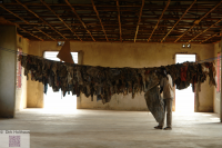 Genocide Against Tutsi Memorial