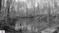 Grafenberg Löschteich